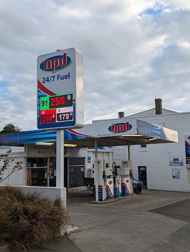 NPD Port Chalmers Motors